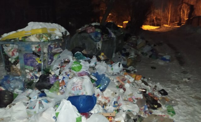 Киев утопает в мусоре: коммунальщики не справляются с вывозом во время снегопадов, фото
