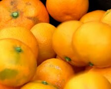 Дієтологи назвали тих, кому шкідливі мандарини: які хвороби може викликати продукт