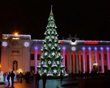 елка Одесса