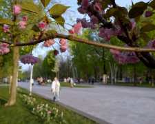 Прогноз погоди на тиждень з 20 до 26 квітня в Дніпрі: