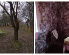 Будинок із великим садом продають в Україні за 20 тис. гривень: як він виглядає і що в ньому є