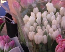 Подорожчання квітів в Запоріжжі, 8 березня