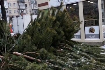 В Одессе начали охоту на елочных бизнесменов, фото