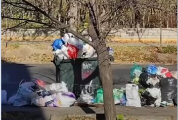 "Ну как так можно?": горы мусора показали на видео в Одессе