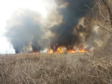 Неконтрольовані пожежі знищують все на своєму шляху: деталі того, що відбувається на Київщині