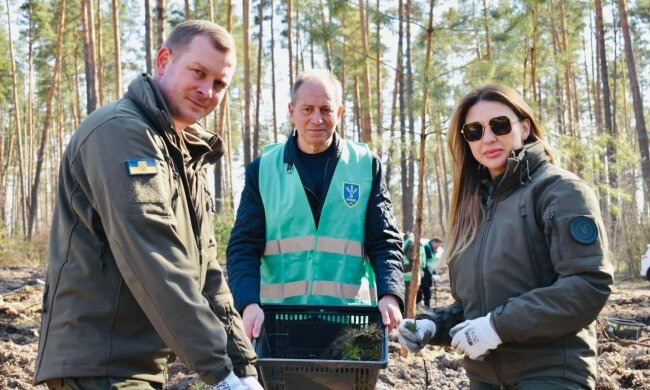 Відновлення лісового масиву, який постраждав від пожежі: колектив НУБІП на Київщині висадив 6 тисяч нових дерев