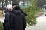 Заработали елочные базары: во сколько украинцам обойдется новогоднее дерево