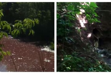 Екологи б'ють на сполох через катастрофу в Харкові, фото: "ставок став яскраво-червоним"