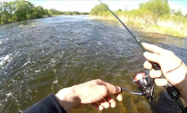 Дніпрянин вразив несподіваним уловом, фото: "А де у нас коні плавають?"