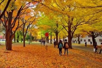 осінь, люди, погода