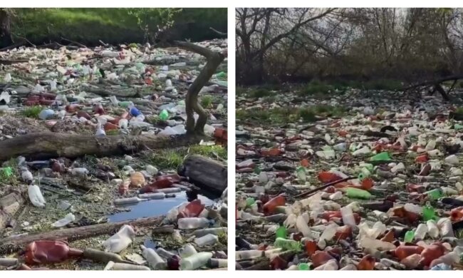 Тонны мусора скрыли реку под Харьковом, фото: "скопилось на несколько грузовиков"