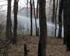 Пока пылает Чернобыль, киевляне жарят шашлыки: пожарники не выдержали, фото