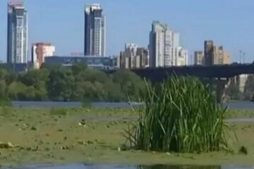 Навколишнє середовище зазнало збитків у десятки мільйонів лише за тиждень: Держекоінспекція