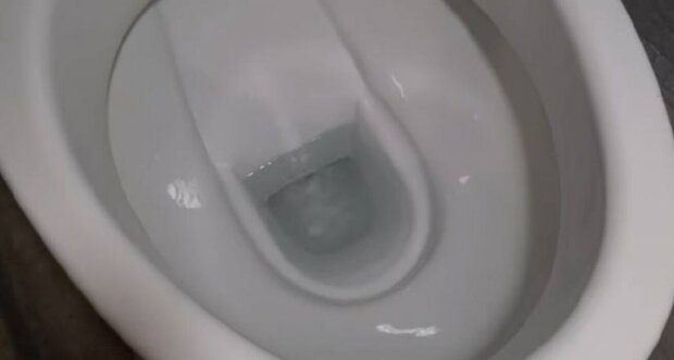 ����: politeka.net