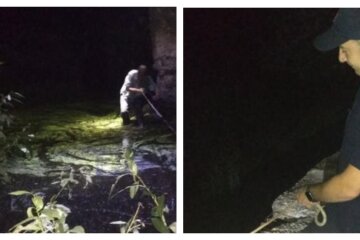 Просил помощи под мостом: на Харьковщине мужчина застрял в реке, фото