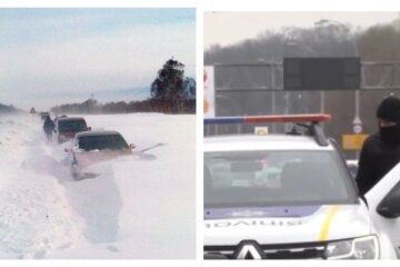 "А где-то люди не дождались помощи": мужчина обманом заставил копов расчищать снег, детали