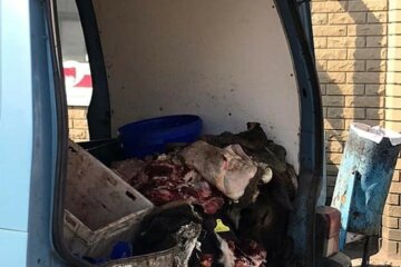 "Після побаченого веганами зробитеся": як харків'янам розвозять м'ясо, фото