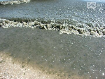 Море Одеси перетворилося на болото з водоростей (фото)