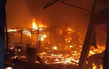 Сильный пожар охватил базы отдыха в  Затоке, есть пострадавшие: кадры с места ЧП