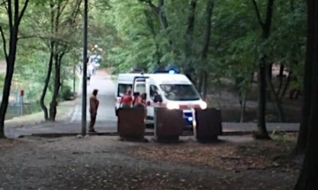Знайшли під деревом: біда трапилася з жінкою в київському парку, фото
