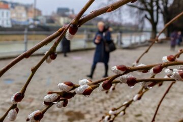 Погода в Одесі знову здивує: що буде 18 лютого