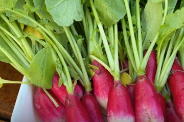 Лунный календарь огородника с 13 по 19 мая