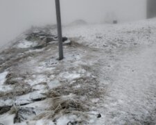 Зима внезапно обрушилась на украинскую землю: появились кадры первого снега