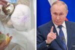 Крупа с червяками и гнилой лимон: в россии пенсионерам вручили "подарочек" от путина, видео