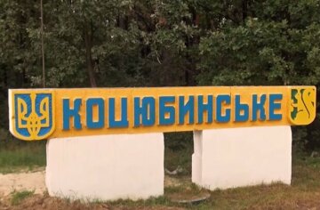 Скандал у Коцюбинському: неадекват побив волонтерку (фото)