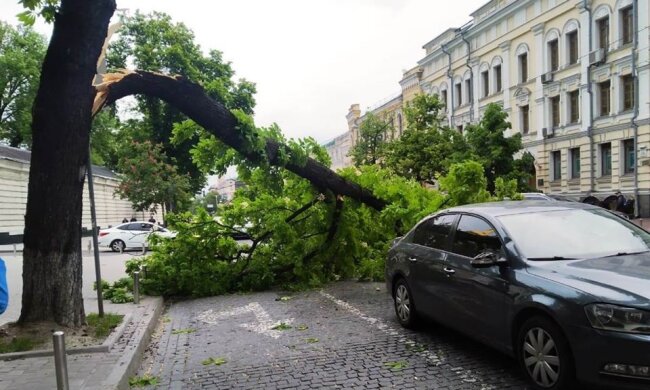 "Не виходьте на вулицю": стихія обрушилася на Київ, кадри руйнувань