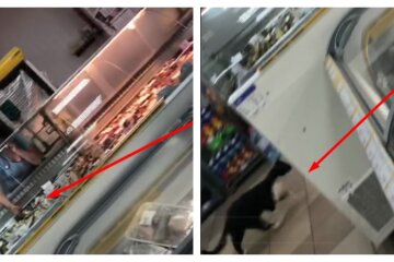 В харьковском магазине трогают рыбу грязными руками, рядом бегает кот: кадры беспредела