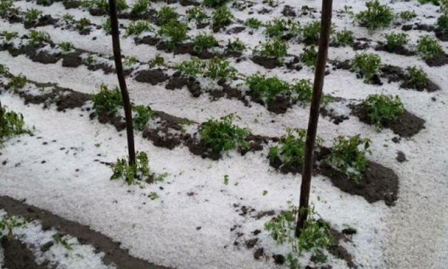 Погода в Україні остаточно злетіла з котушок, кучугури ростуть: фото травневого снігу