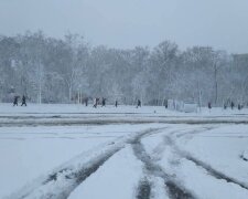 Аномальний снігопад в Харкові: повалені дерева, закритий аеропорт (фото)