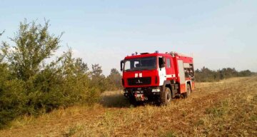 Житель Одесчины бесследно исчез в лесу: спасатели прочесывают каждый метр