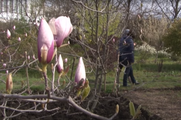Прогноз погоди в Запоріжжі на 14 березня