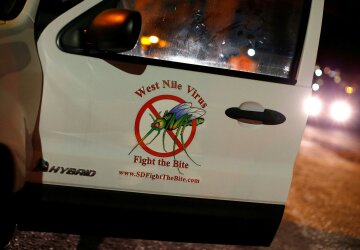 Ученые требуют уничтожить всех комаров ради спасения Земли