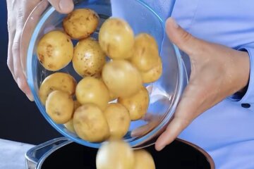 молода картопля
