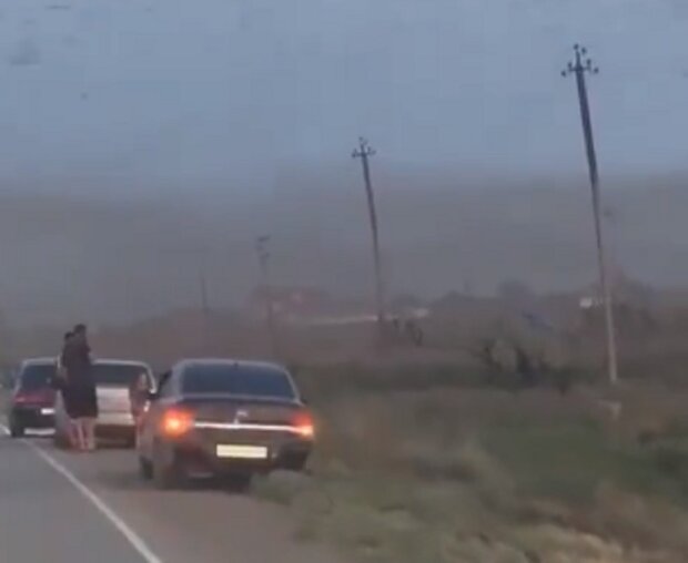  ����� �������� ���������� ������ ���������� ������� ������ ��� 