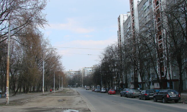 Вулицю на Солом'янці у Києві хочуть перейменувати в "Лос Соломас": несподівані деталі