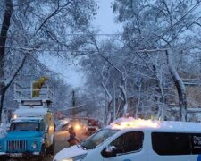 Непогода обрушила свой гнев на Одессу, видео: "сотни упавших деревьев, оборванных сетей и повалены опоры