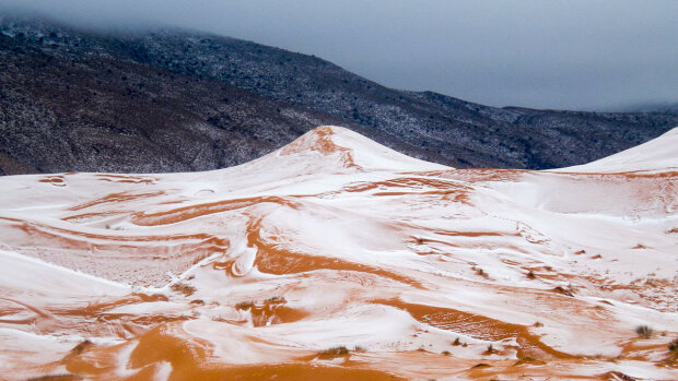 Фото: Karim Bouchetata/Geoff Robinson Photography