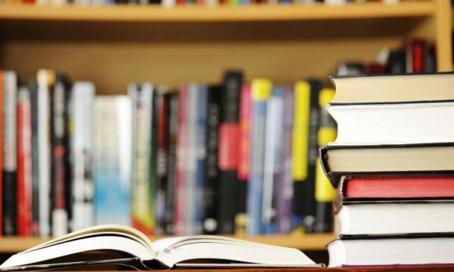 library-1024×501.jpg.pagespeed.ce_.x-p8d5PTia