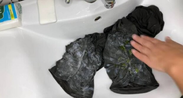 ����: politeka.net