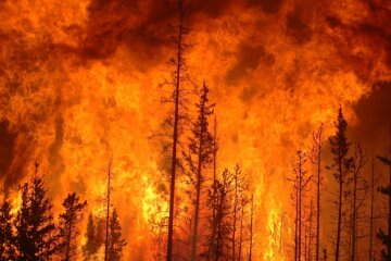Росіяни збожеволіли від бездіяльності Путіна й кинулися на пожежу з іконами: «все зло сидить в центрі»