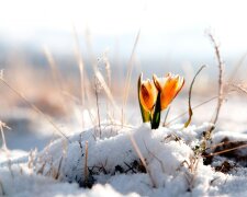 погода на март в украине, снег, весна