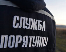 Страшная гибель экс-министра Кутового: появились кадры с места трагедии