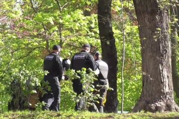 поліція, поліція України
