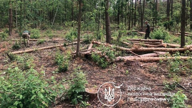 Фото: politeka.net