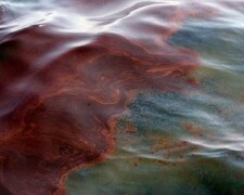 Утечка нефтепродуктов в Одессе, брошены силы на спасение пляжа: кадры ЧП