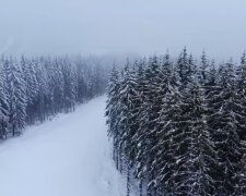 Под конец марта в Украину внезапно вернулась зима, кадры стихии: "До 20 см снега, - 11 градусов и..."